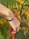 IMG_5761.webp